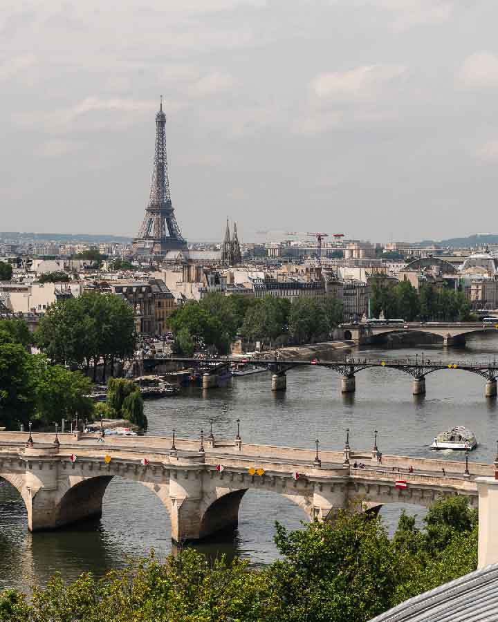 Vista sulla Senna e su Parigi